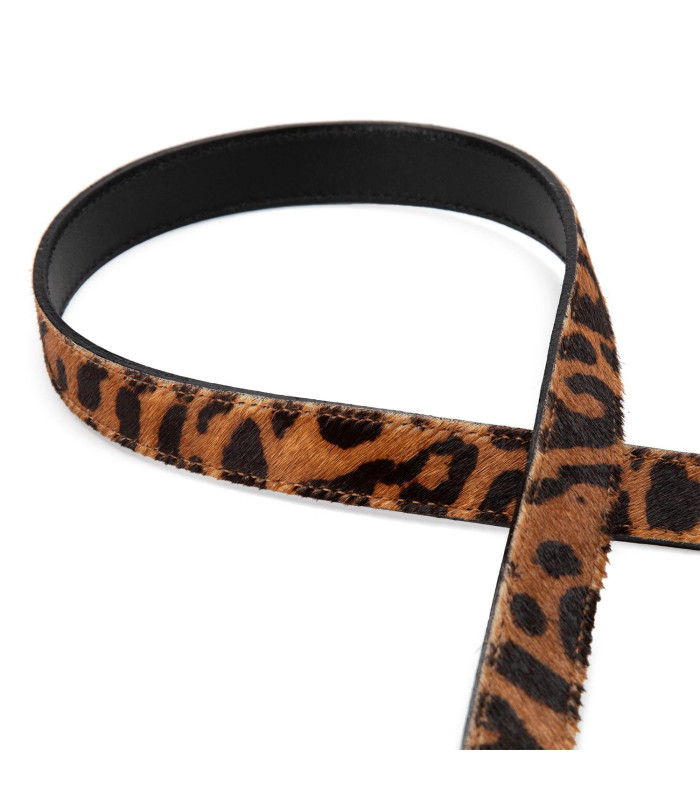 Cinturon - Ancho 2.5 cms - Leopardo